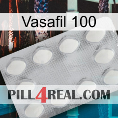 Vasafil 100 16